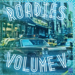 Roadies Vol. 5 Sub Rayz Behind The Wheel