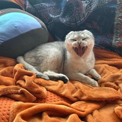 breathe (prod. Missing Lynx)