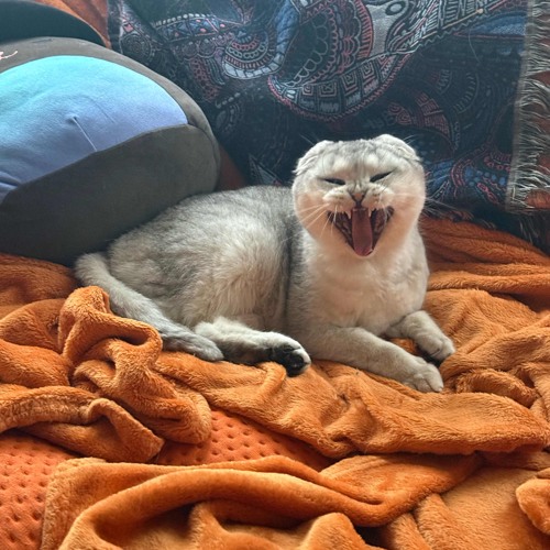 breathe (prod. Missing Lynx)