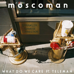 What Do We Care (feat. Tom Sanders (Teleman))