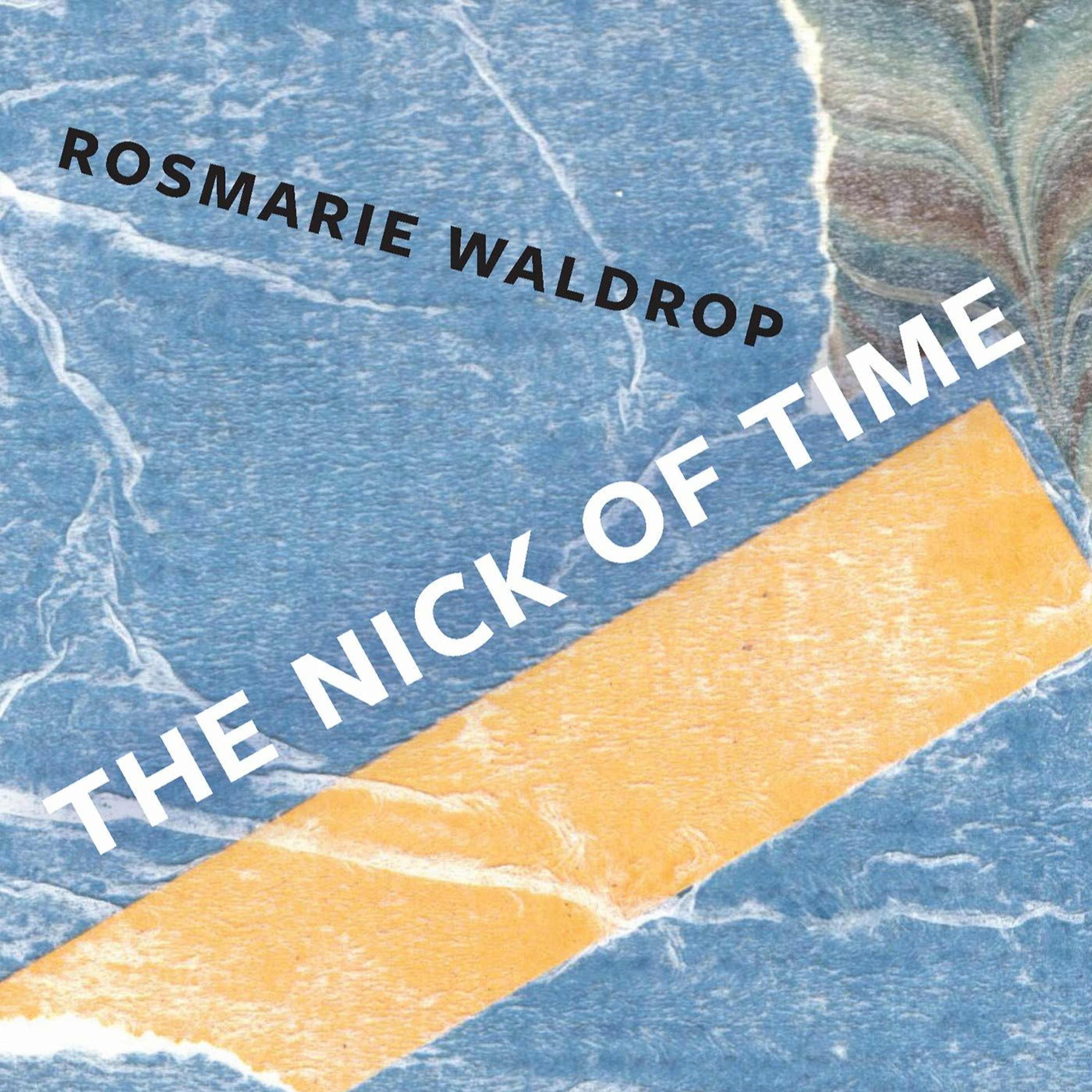 The Nick of Time by Rosmarie Waldrop episode artwork