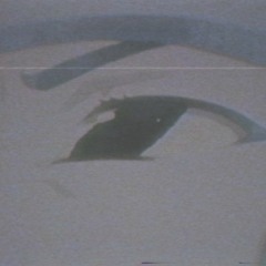 Undaground