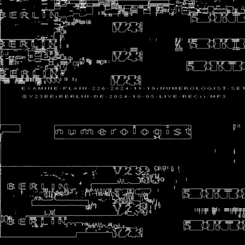 226-2024-11-19