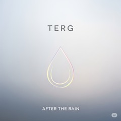 Terg - After the Rain