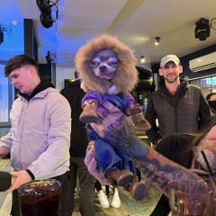 breaks n loops n scat