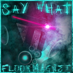 Floormagnet - Say What (Original Edit)