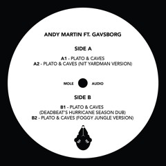 Andy Martin Ft. Gavsborg -Platos & Caves