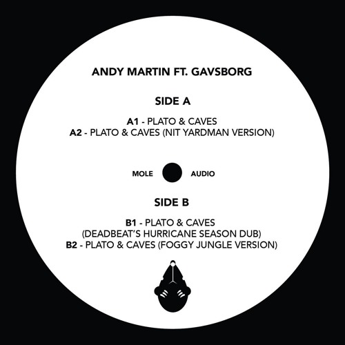 Andy Martin Ft. Gavsborg -Platos & Caves