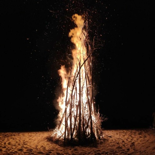Flame in the Jungle