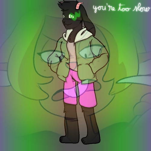 M U C H O M O U S E