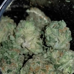 High or in love