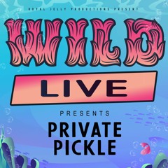 Private Pickle - The Wild Main Stage 30.12.19