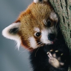 Nexe - #brzydka16challenge