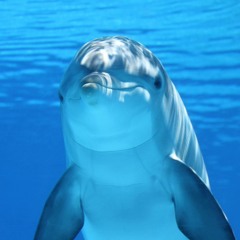 Fantastic World *deep water