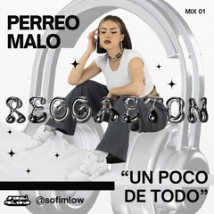 Reggaeton Mix "Un Poco De Todo" - Sofi MLow x PERREO MALO