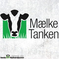 Mælketanken 2025 - September