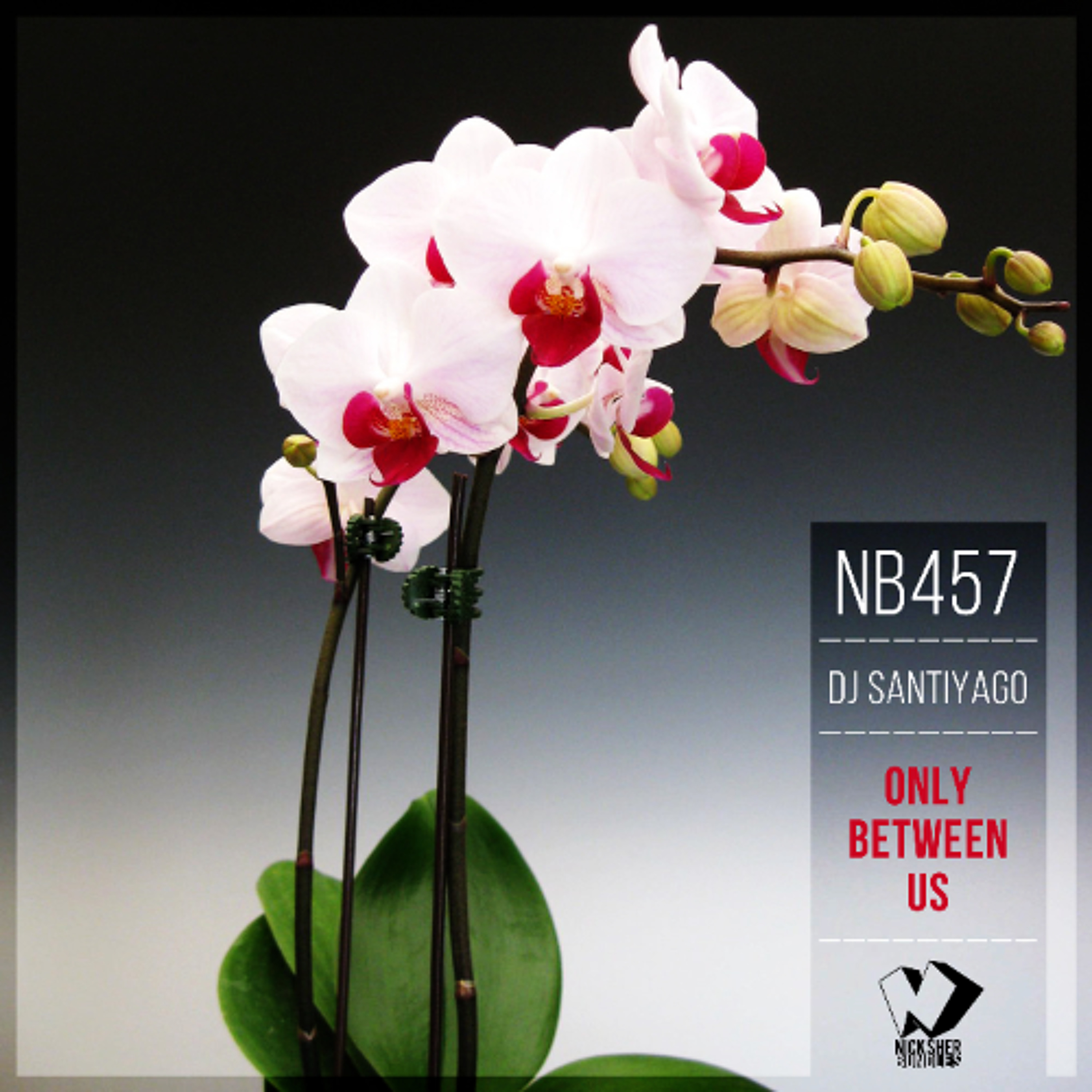 DJ Santiyago - Breathe (Original Mix) episode artwork