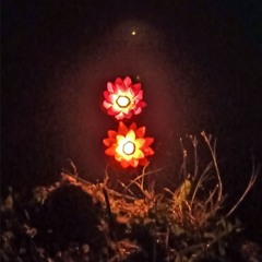 Incandescence
