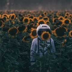 Ivan Chobanov -DUBSTEP DEC.-2025