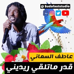 عاطف السماني __ قدر ماتلقي ريديني __ من حفلة مراسي الشوق