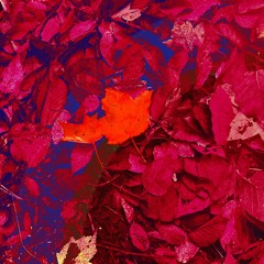 Autumn By The Lake