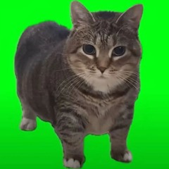 Brainrot2.wav