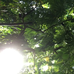 Prolation Canon and breathing