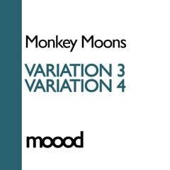 Monkey Moons - Variation 3 (Original Mix)
