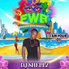 DJ SHELLZ LIVE AT FWB 2022