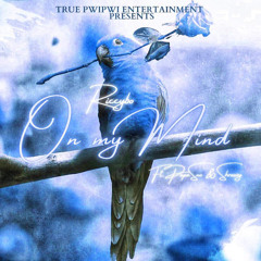 RiccyBo “On my mind” Shreezy X Papasno (Remix) 💙