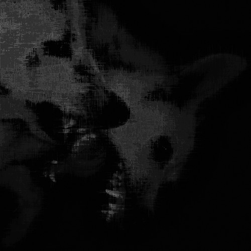 Tiger Drool - SABER TOOTH - KAT Edit