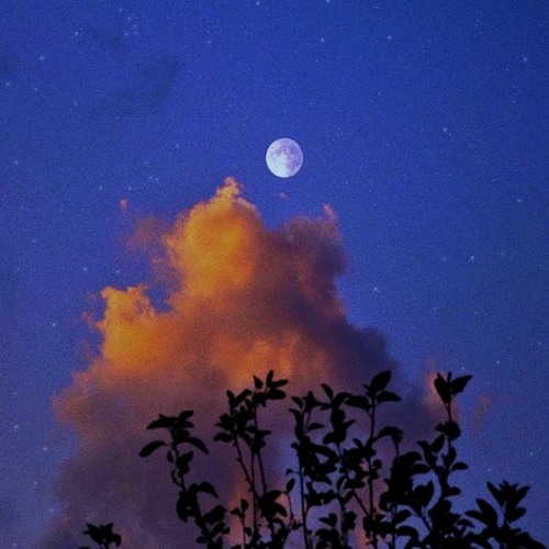 (FREE) Lo-fi Type Beat - Tonight