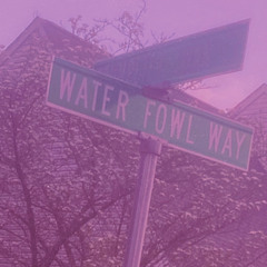 Water Fowl Way (the only way)