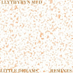 Llythyryn Mud - Little Dreams (Expoded's Nonlinearity Remix)