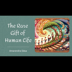 The Rare Gift of Human Life _ Amarendra Dsa