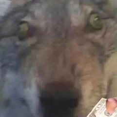 I HAVE NO IDEA WHAT I'M DOING WITH MY LIFE