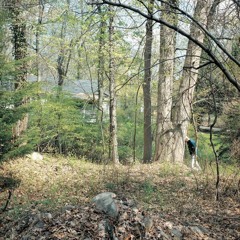 hk_fantaisies_tracks_558
