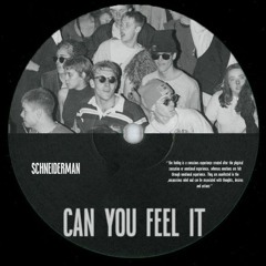 Schneiderman - Can You Feel It (Original Mix)