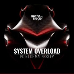 SYSTEM OVERLOAD - In My Mind