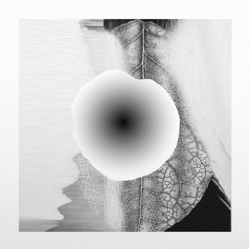 Release Slow ( Neel rmx) (Digital exclusive)