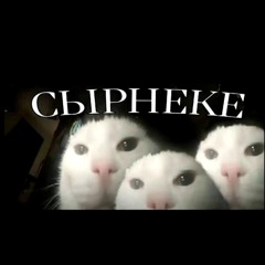 tiktok new songs that are fire