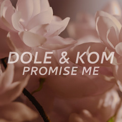 Promise Me (Radio-Edit)