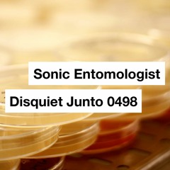 Unstable Organism (disquiet0498)