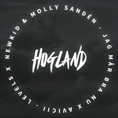 Newkid & Molly Sandén VS Avicii - Jag Mår Bra Nu X Levels (Hogland Mashup)