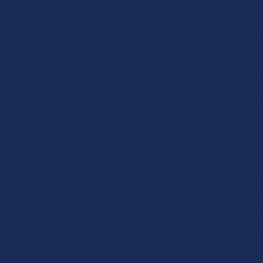 backcourt duo ft ripavefr