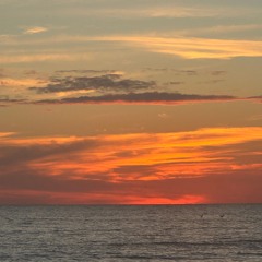 The Piano Playing Octopus