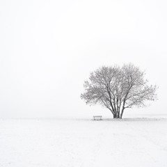 Another Silent Night