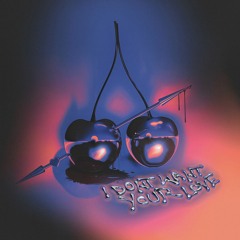 I Don't Want Your Love