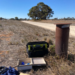 Langhorne Creek borehole: strange sounds and deep resonances