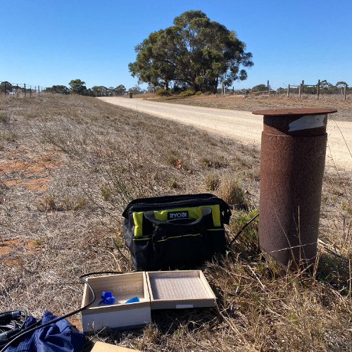 Langhorne Creek borehole: strange sounds and deep resonances